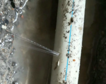 万秀卫生间测漏水多少钱
